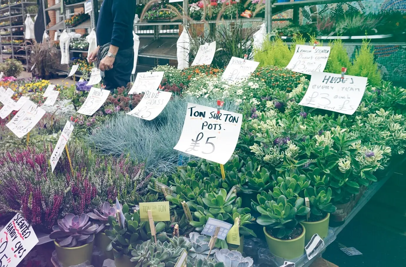Blumenladen in voller Blüte auf dem Marktplatz