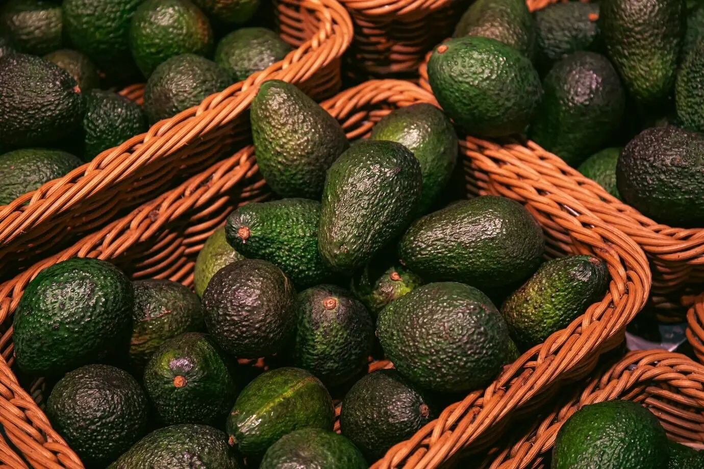 Nahaufnahme von Körben mit Avocados in einem Supermarkt