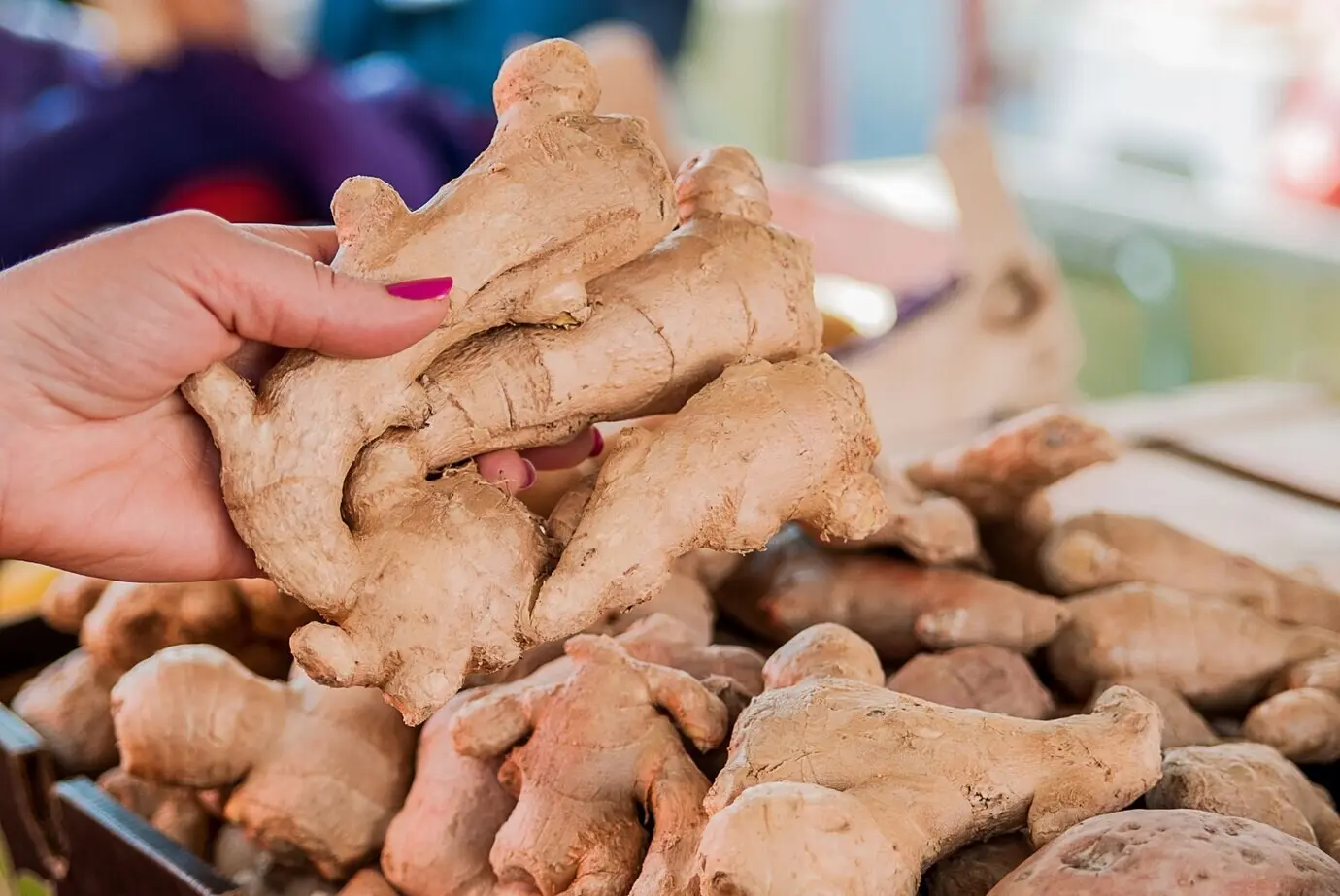Eine junge Frau kauft auf dem Markt Ingwer. Eine Frau wählt im Supermarkt Ingwer aus. Eine Frau sucht auf dem Markt frisches Obst und Gemüse aus.